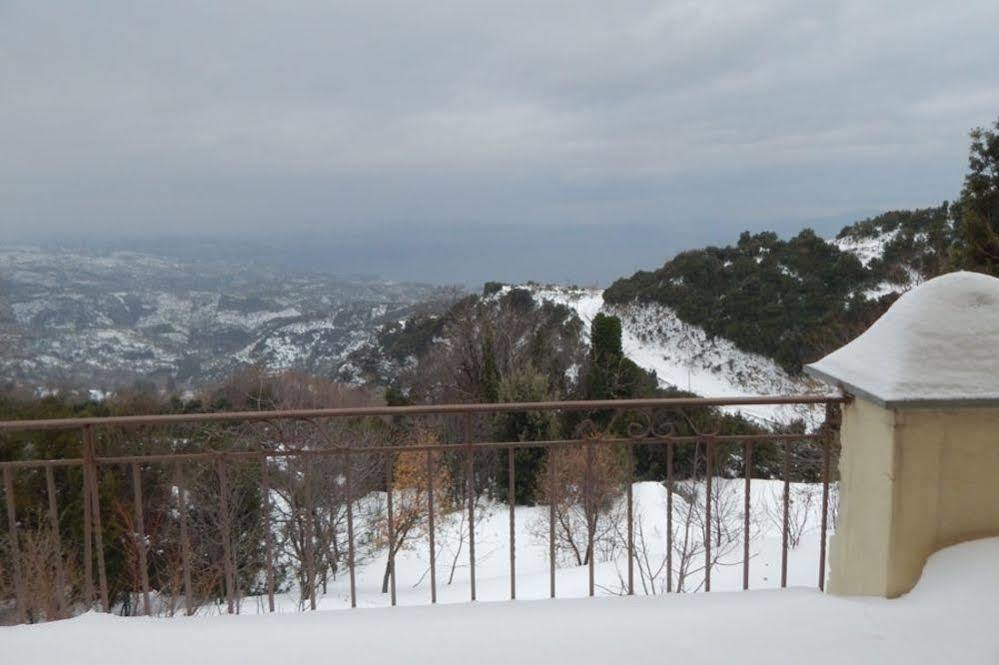 Hotel Rastoni Pelion Vyzítsa Zewnętrze zdjęcie
