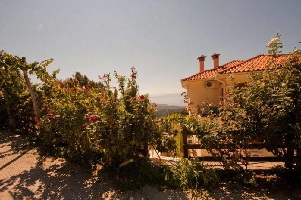 Hotel Rastoni Pelion Vyzítsa Zewnętrze zdjęcie