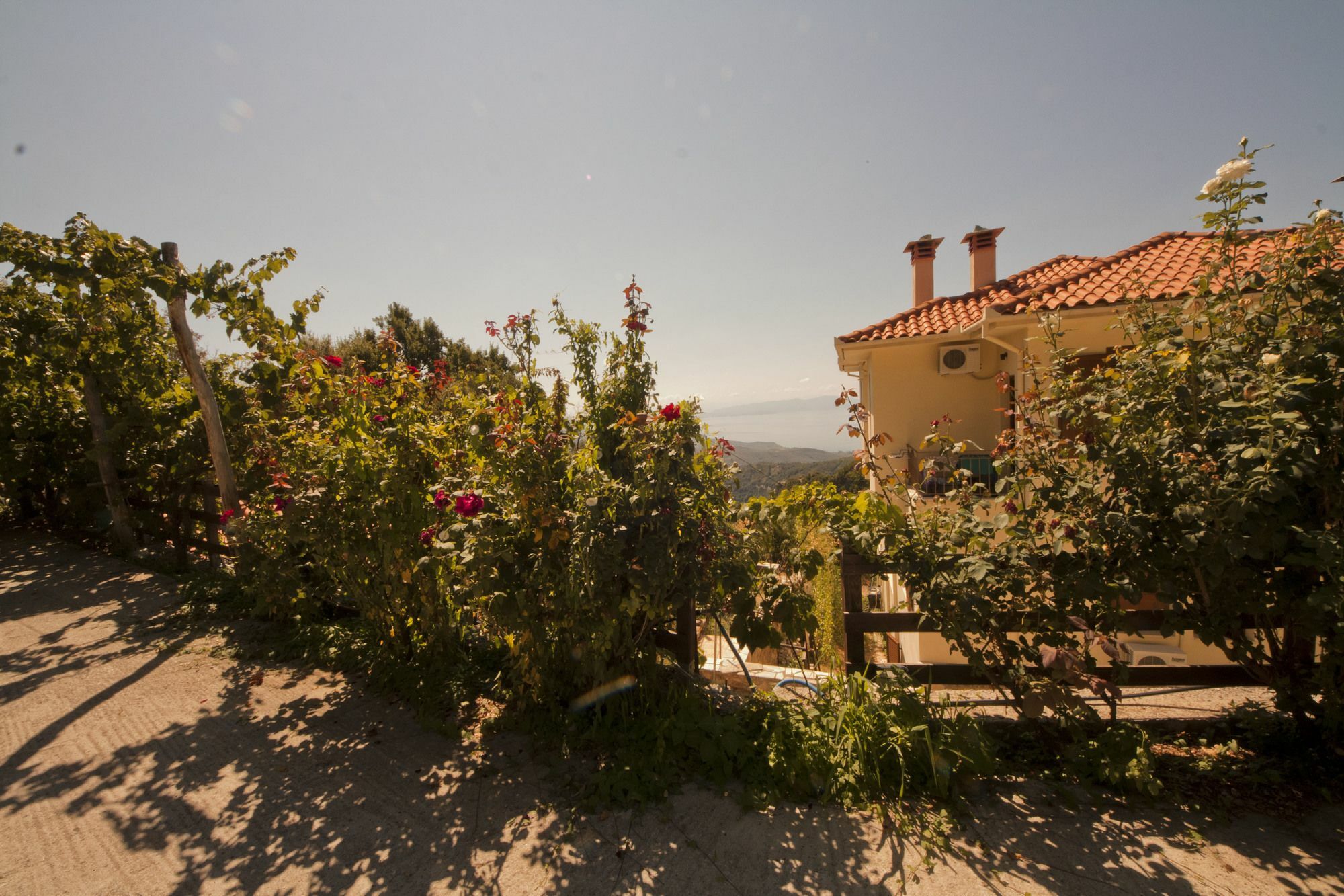 Hotel Rastoni Pelion Vyzítsa Zewnętrze zdjęcie